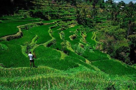Tete Batu, Rice Terrace View with Waterfall, Original Lombok Tour 