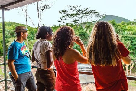 Ebony Forest Reserve Chamarel: Endemic Birdwatching Guided Tour