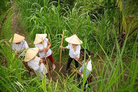 Experience Authentic Balinese Village Life on a Day Trip - Ubud