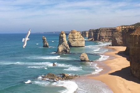 [PRIVATE TOUR] Express Great Ocean Road | Day Trip