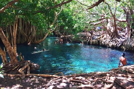 Kikuletwa Hotspring Day Trip