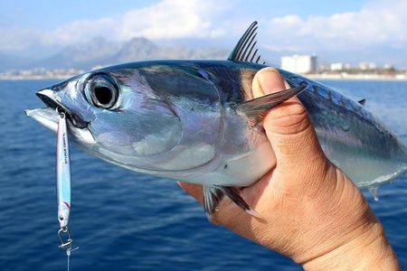 "Side Half-Day Fishing Adventure: Transfer Included!"