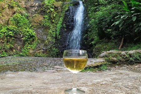 Martinique flavors in the rainforest and St Pierre - Pile et Face