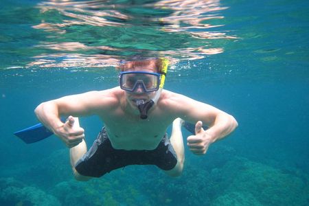 Kealakekua Bay Morning Snorkel to Captain Cook Monument