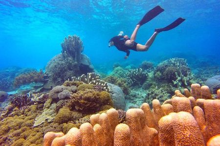 Half Day Tour Snorkeling in Nha Trang Bay Included Lunch
