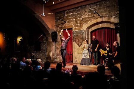 Barcelona Private Tour: Tapas & Wine Tasting with Flamenco Show