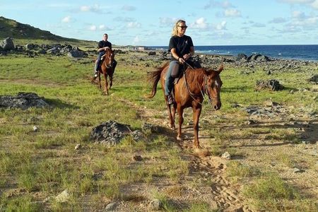 Aruba 2,5 hrs Horseback Riding For Advanced Riders