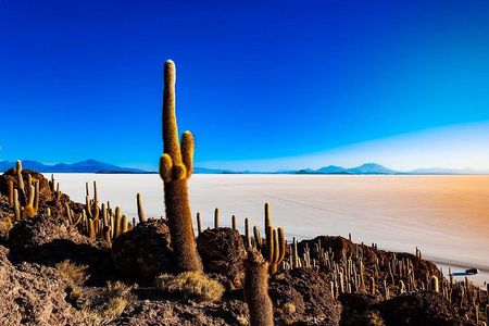 Uyuni Salt Flats (3 Days) English Speaking Guide