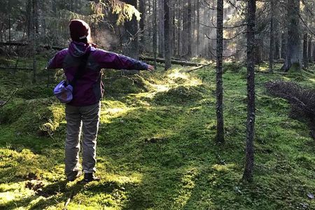 Hiking tour in Nuuksio National Park with meal and snacks