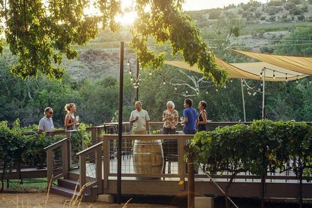 The Original 4 Winery Tour with Charcuterie 