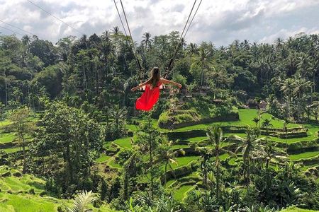 Rice Terrace and Bali Swing Tour