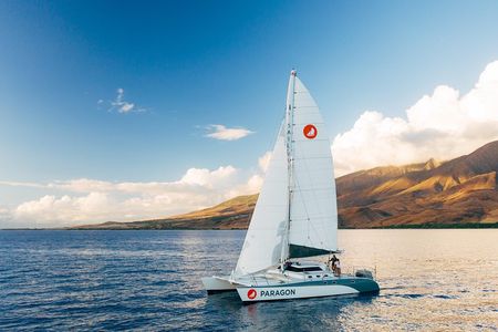 Morning Whale Watch: Lāhainā Harbor