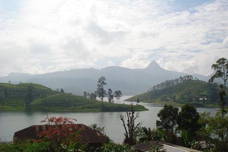 Sri Pada Mountain and Ella Train Journey from Kandy City