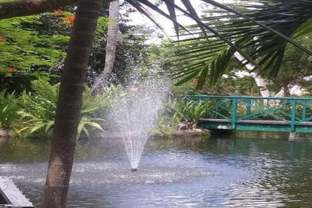 Freeport Shore Excursion: Garden of the Groves and City Tour