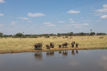 03 Days, 02 Nights Safari To Lake Manyara, Ngorongoro And Tarangire