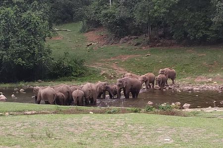 1 Day Activity Adventure Trekking Kerala