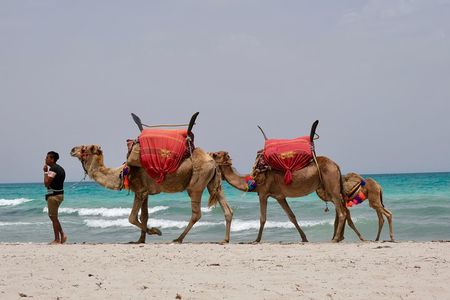 From Djerba : 1 day in the footsteps of Star Wars "Mos Eisley"