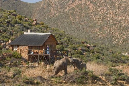 Cape Town Safari Big 5 experience all inclusive