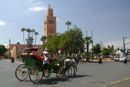 Casablanca Tour 11 Days 10 nights