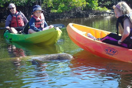 Guided Kayak Eco Tour - Bunche Beach