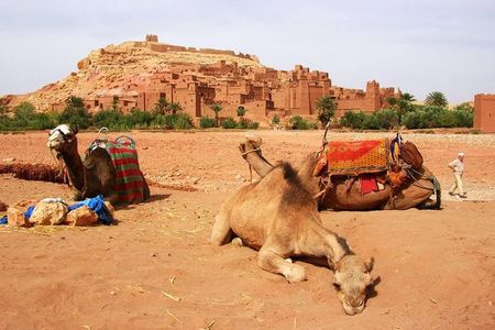 2 Day Excursions Marrakech Merzouga Erg Chebbi Camel Trek 2 Days 1 Nights Luxury