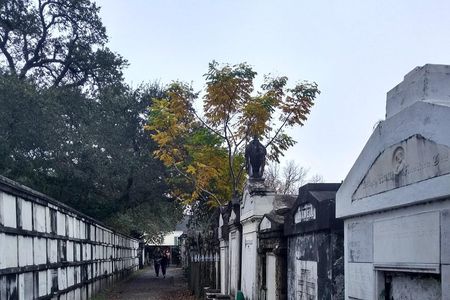 A Local's Garden District Tour