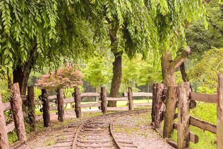 [ Full Day ] Nami Island, Petite France and Hot place Myeongdong!