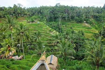 Bali Dance, Ubud Village, Scenic Rice Field And Waterfall Visit.