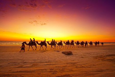 Sunset Camel Ride In Agadir 