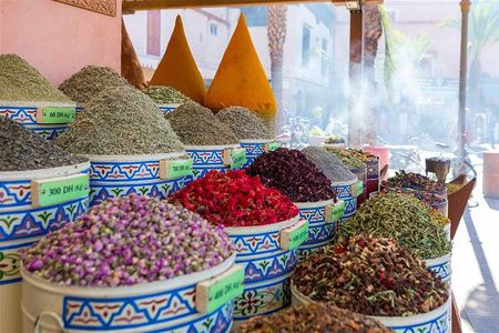 Marrakech Full Day Guided City Tour - Private Tour