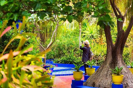 Marrakech Full Day Guided City Tour - Private Tour