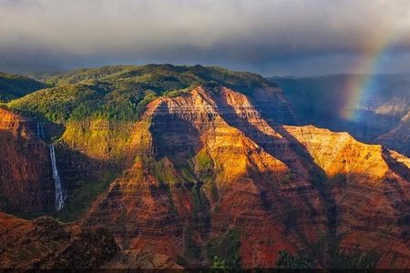 Kauai Canyon Explorer: Private Tour Featuring Waimea & Kokee 