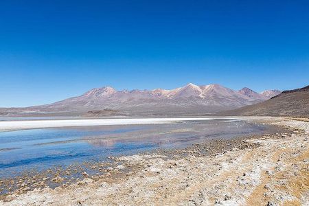 Day Tour to Laguna de Salinas