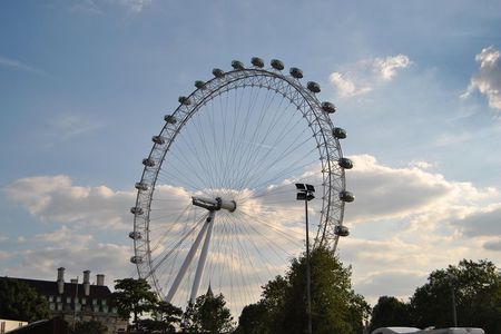 Westminster area private guided tour