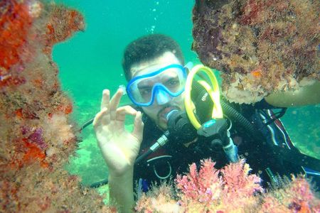 Diving initiation (Initiation)