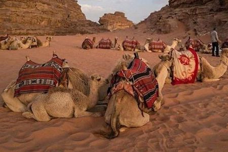 Super Safari Hurghada
