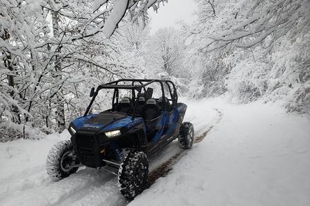 Private Buggy Experience All Seasons in Pamporovo