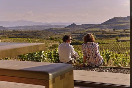 La Rioja wine tour: wineries and Laguardia from Logroño