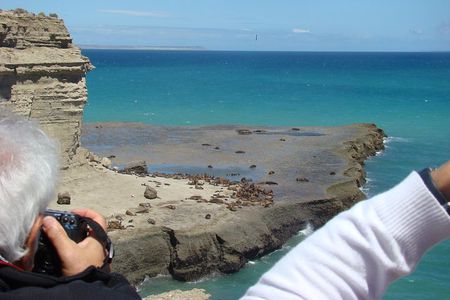 Exclusive Peninsula Valdes Nature & Wildlife for Cruise Guests