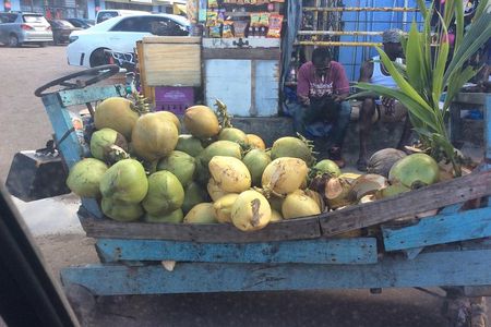 Negril Country Side Tour & Rick's Cafe 