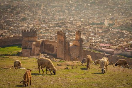 Fes day tour from Casablanca