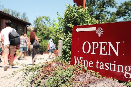 Chianti Wine Tour: Two Wine Tastings, Vineyards and Cellar Visit