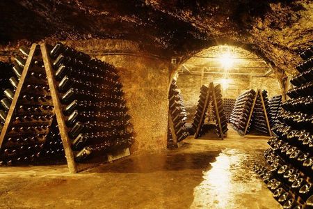 Cavas Freixenet Wine Tour from Mexico City