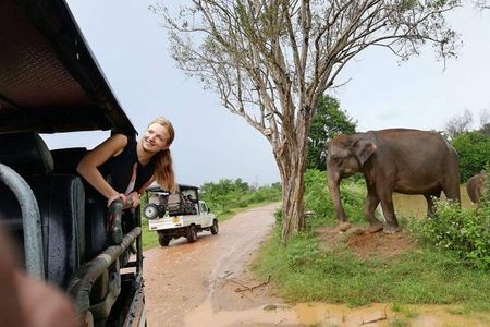 Udawalawe National Park Shared Safari from Ella