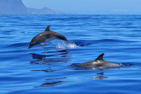 BLUE LAGON & 3 islands full day private speedboat tour