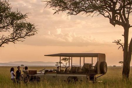 5 Days 4 Nights Exclusive Luxury Tanzania Safari