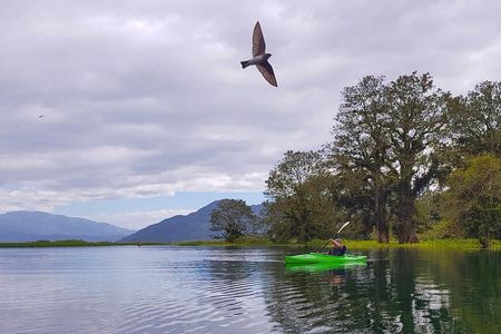 From San Pedro Sula: Yojoa Lake Area Day Trip