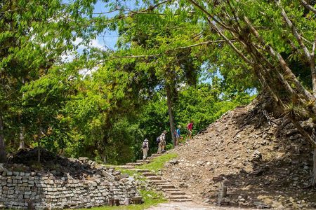 From San Pedro Sula: Mayan Ruins of Copan Day Trip
