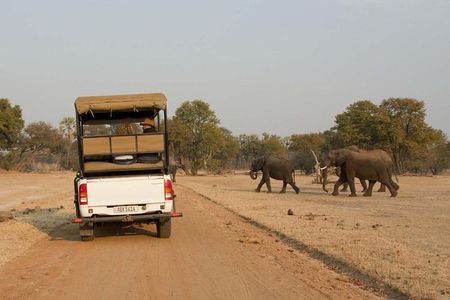 Game Drive in Mosi-Oa-Tunya National Park