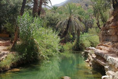 Full day Paradise valley and sandboarding (sandsurfing) with delicious lunch 